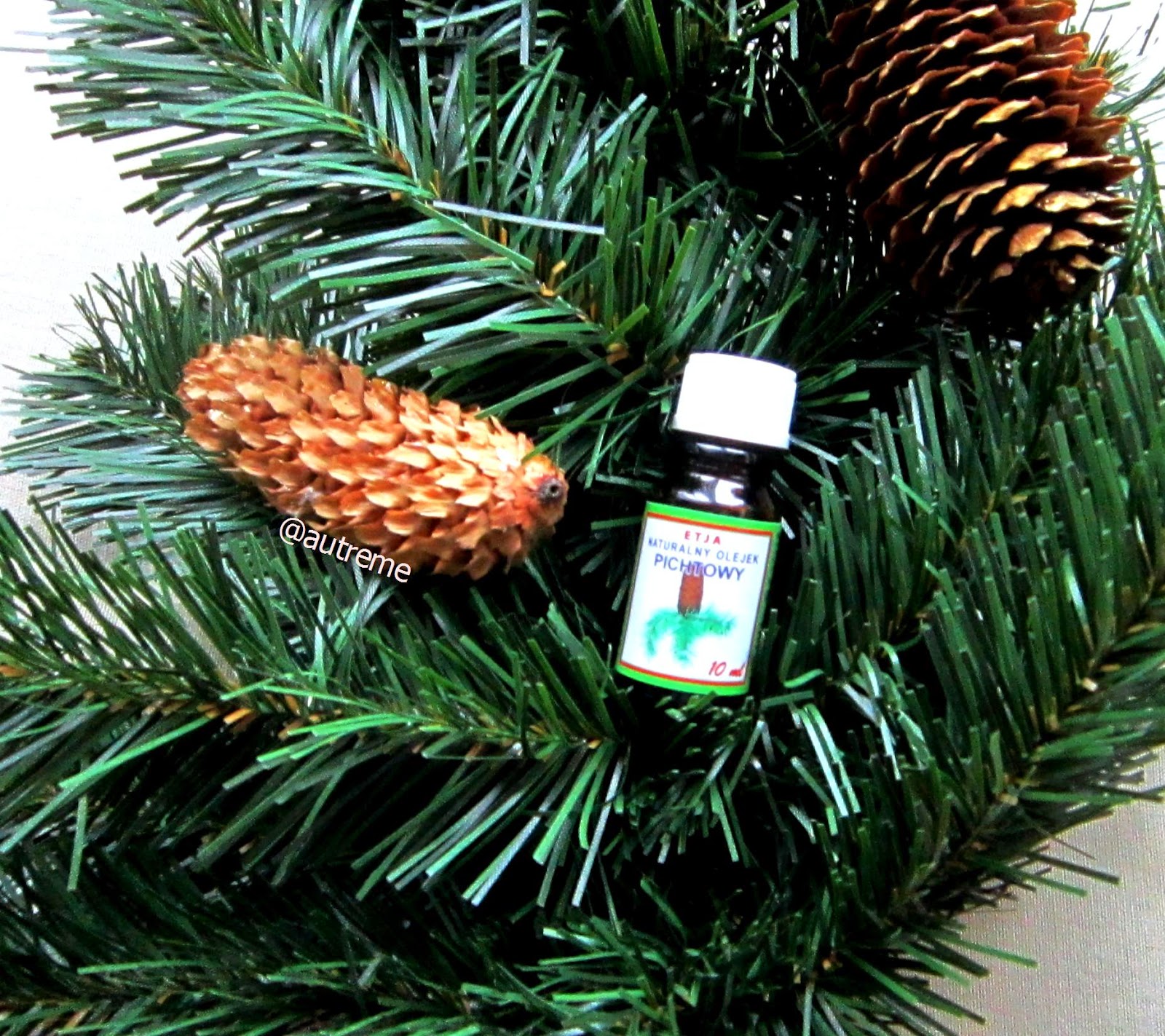 coniferous-forest